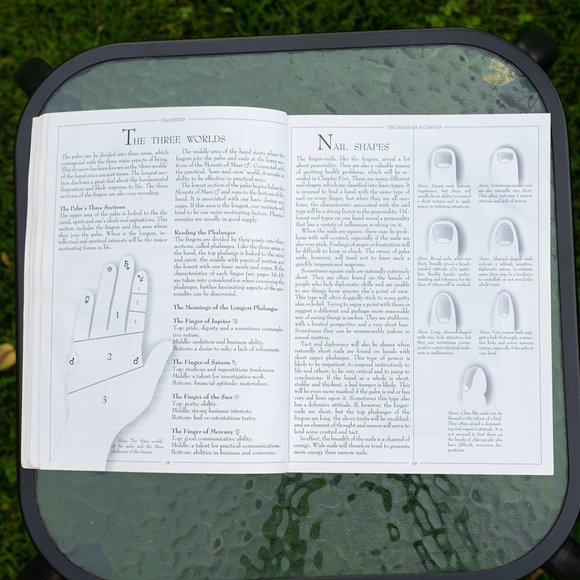 Book: Palmistry: How to Chart the Lines of Your Destiny - Picture 2 of 6
